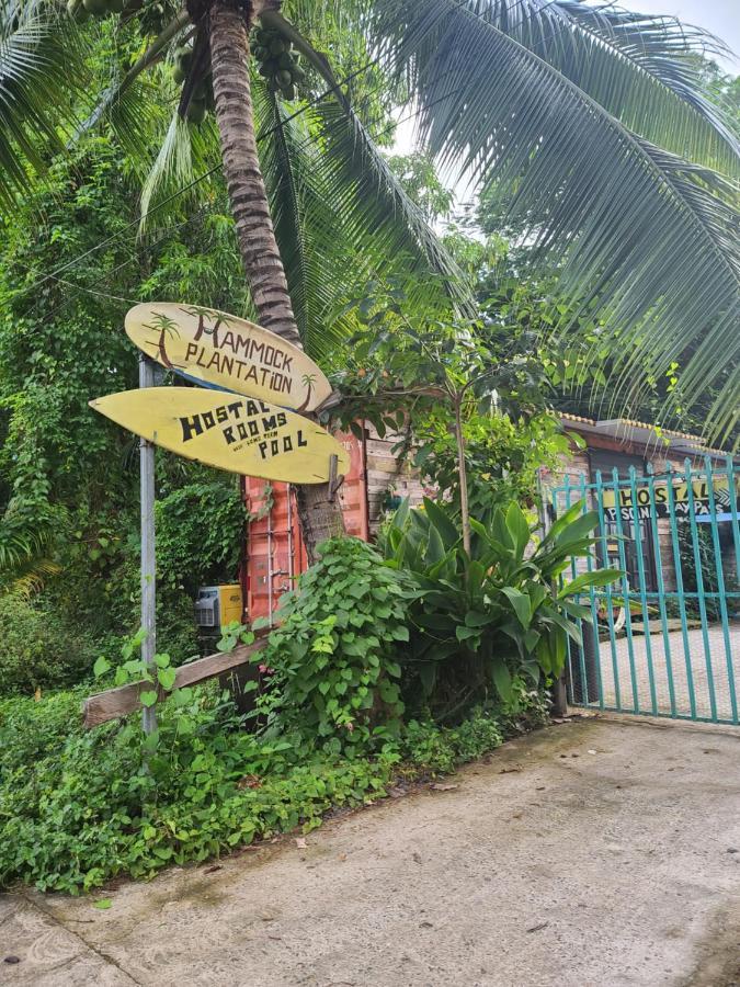 Hostel Hammock Plantation El Zonte Exterior foto