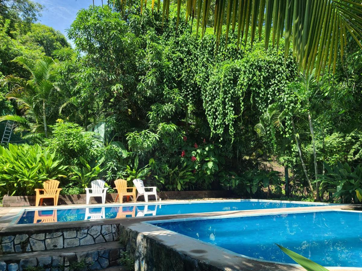 Hostel Hammock Plantation El Zonte Exterior foto